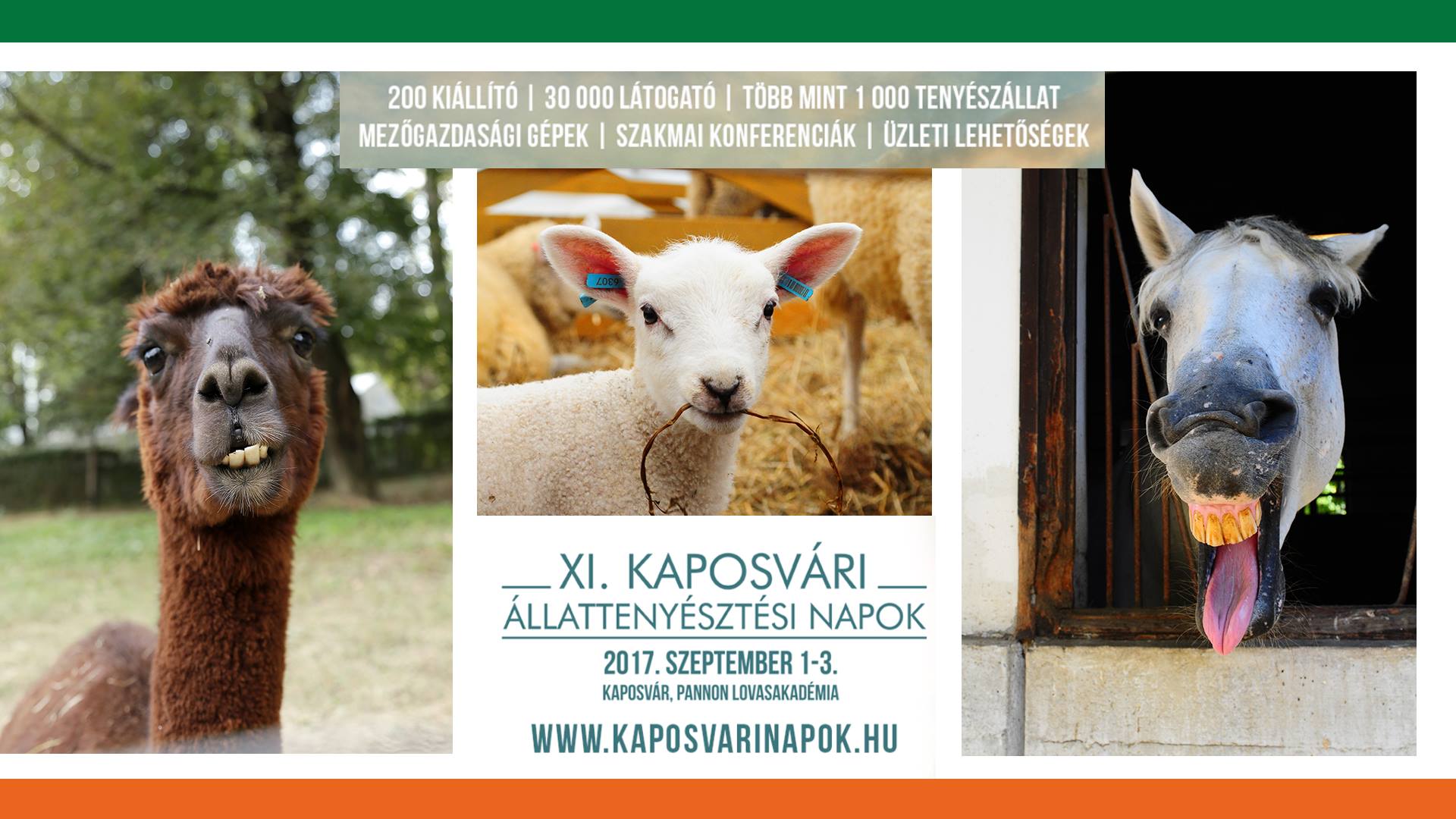 Kaposvári Állattenyésztési napok