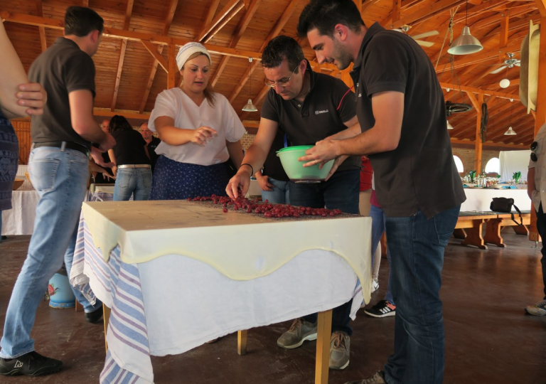 mci_merlo_2018_0104