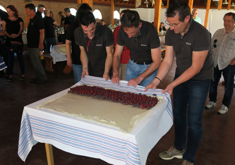 mci_merlo_2018_0105